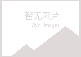 大同山柏化学有限公司